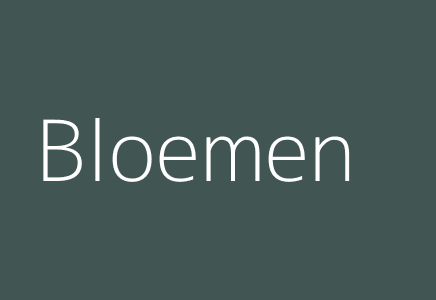 Bloemen & planten